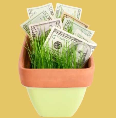 Investing Options To Grow Your Savings, Such As Stocks, Bonds, And Real Estate